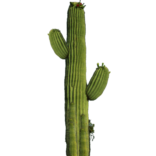 Cactus Sprite Texture - qubodup-JacobimMugatu-ccbysa-gpl ...