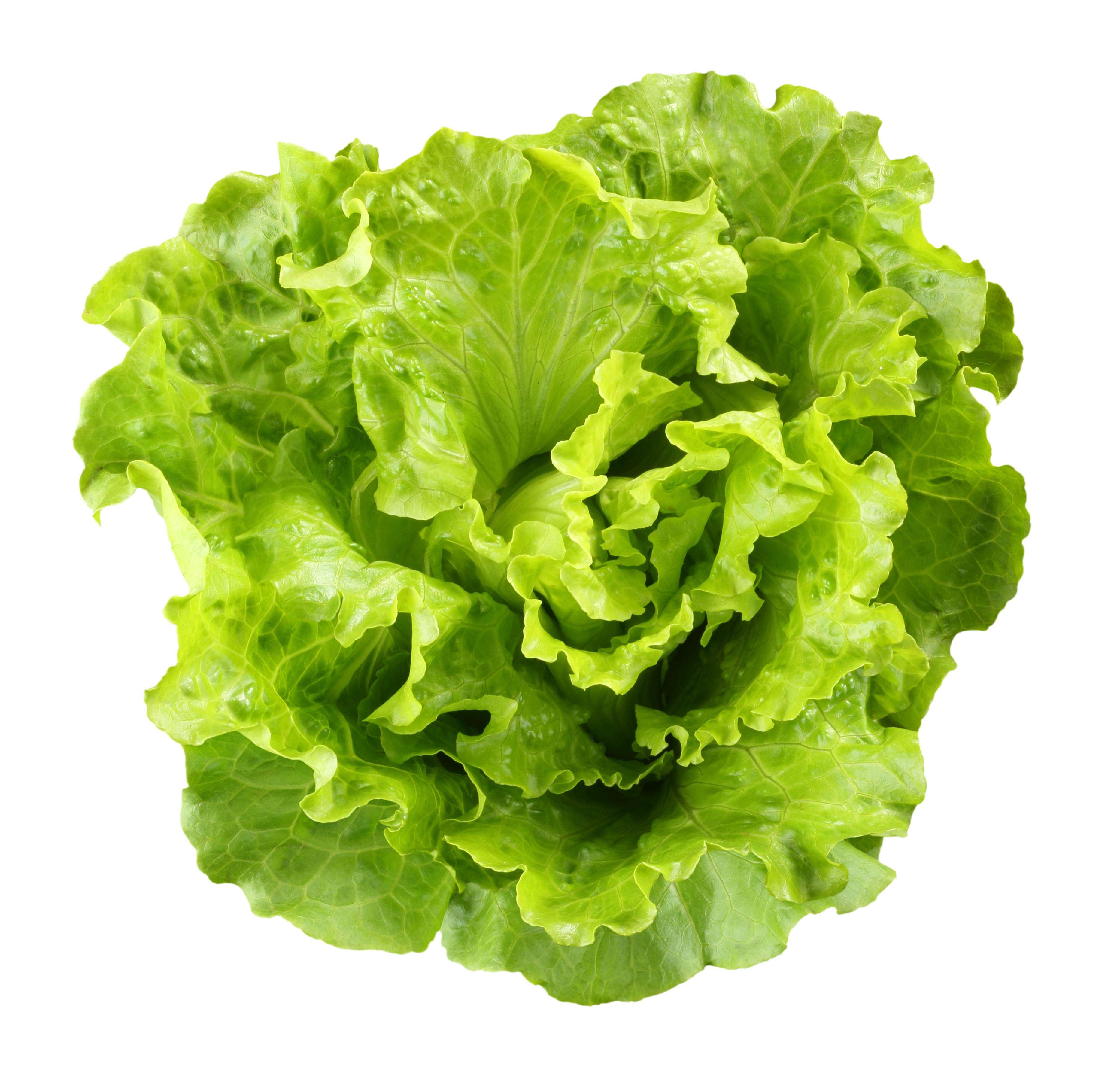 Lettuce Recalls Continue - Lawsuit Information Center
