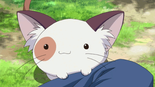 anime cats gif | Tumblr