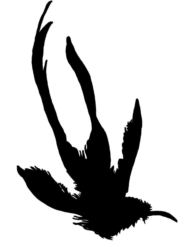 Hummingbird Silhouette Pack Tattoo Love Clipart - Free Clip Art Images