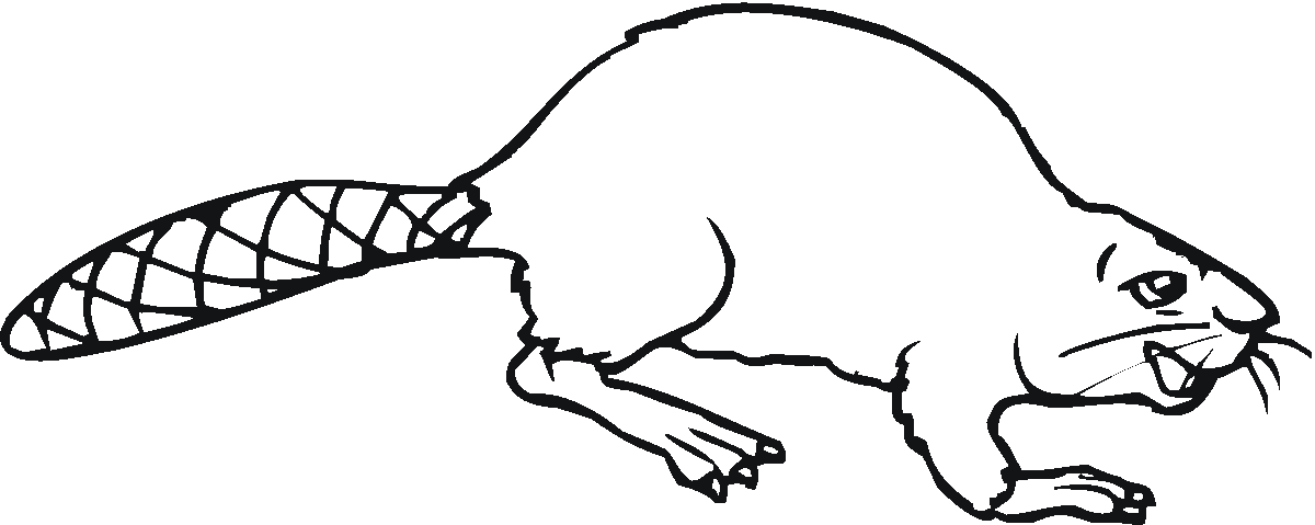 Pin Free Beaver Coloring Pages Funny Doblelolcom on Pinterest