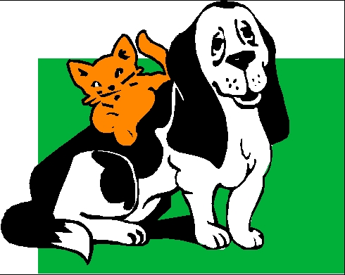 Denali Montessori School » Blog Archive » When You Find A Stray ...