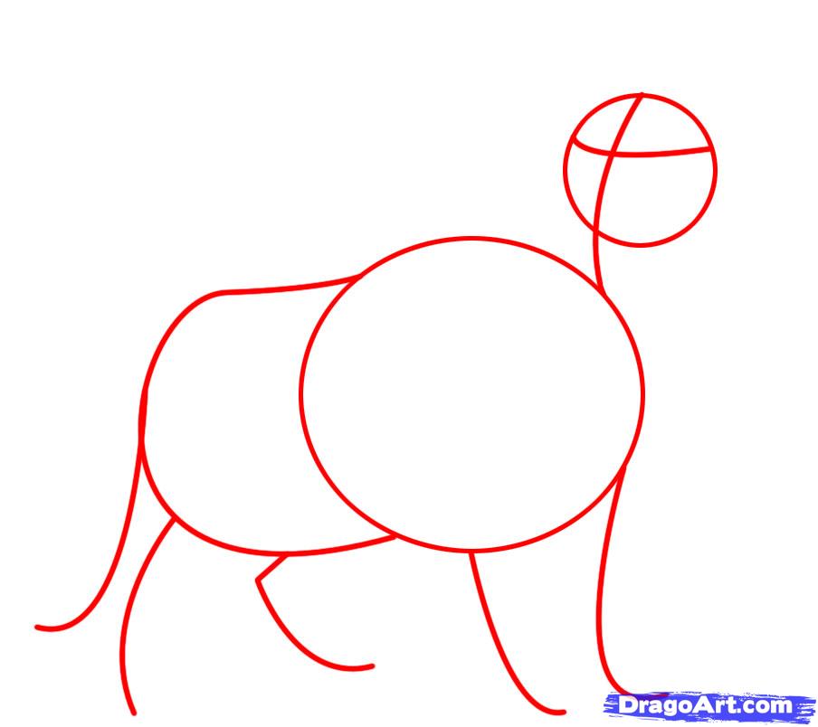 How to Draw a Lion, Step by Step, safari animals, Animals, FREE ...