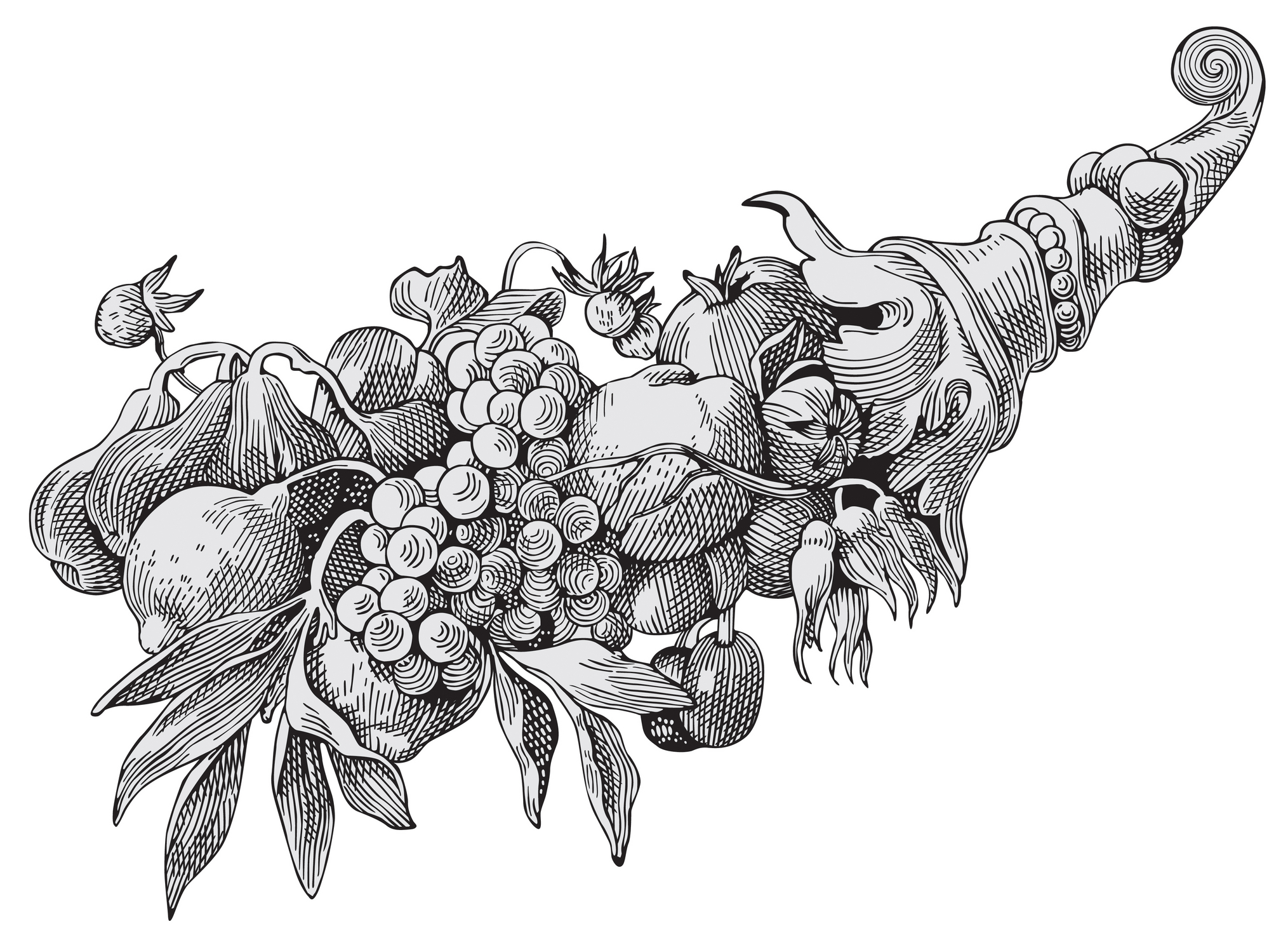 About | Cornucopia Food Forest Gardens