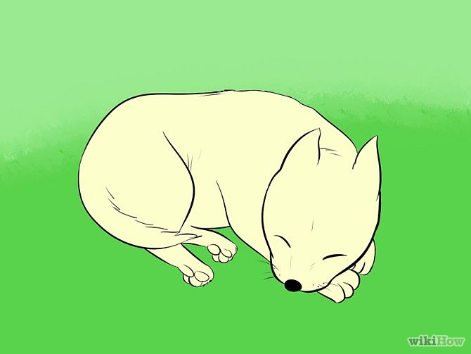 6 Easy Ways to Draw a Cartoon Dog (with Pictures) - wikiHow