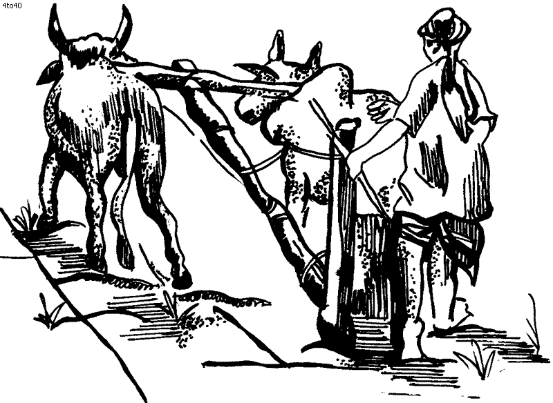 Coloring Book: Plough Coloring Page