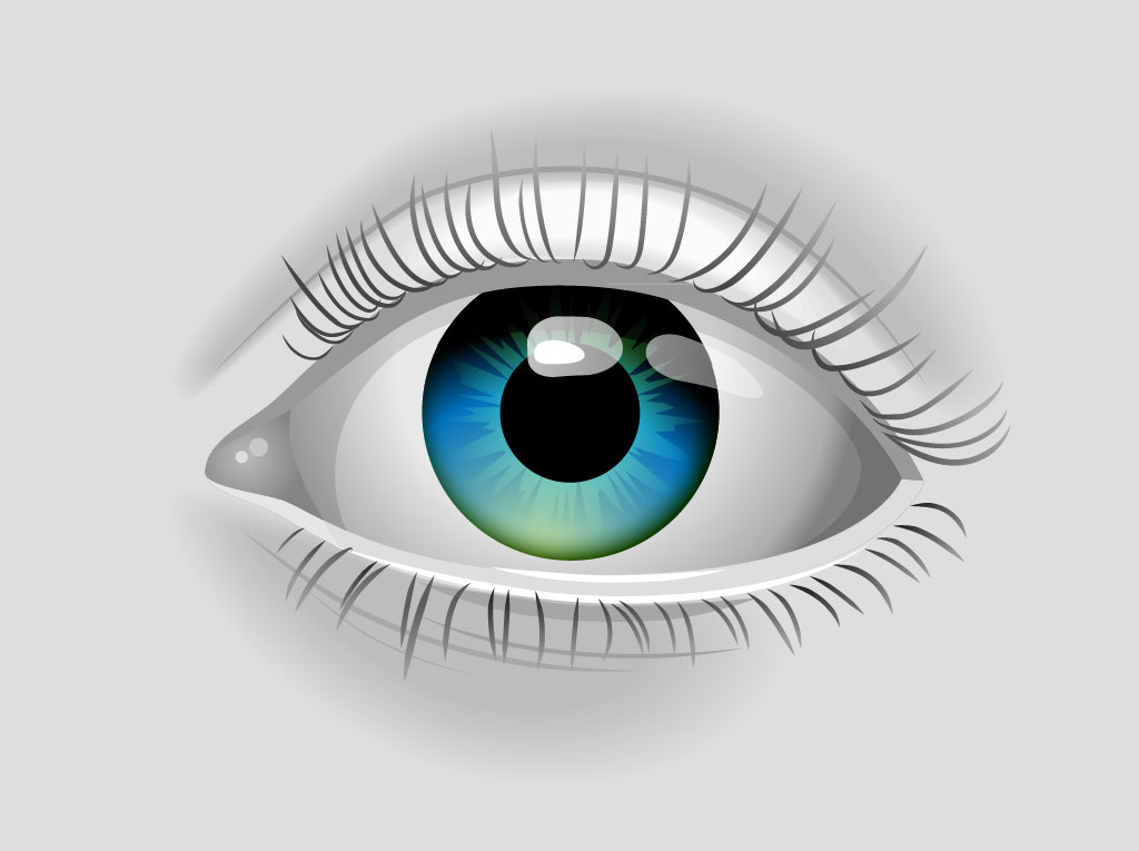 FreeVector-Realistic-Vector- ...