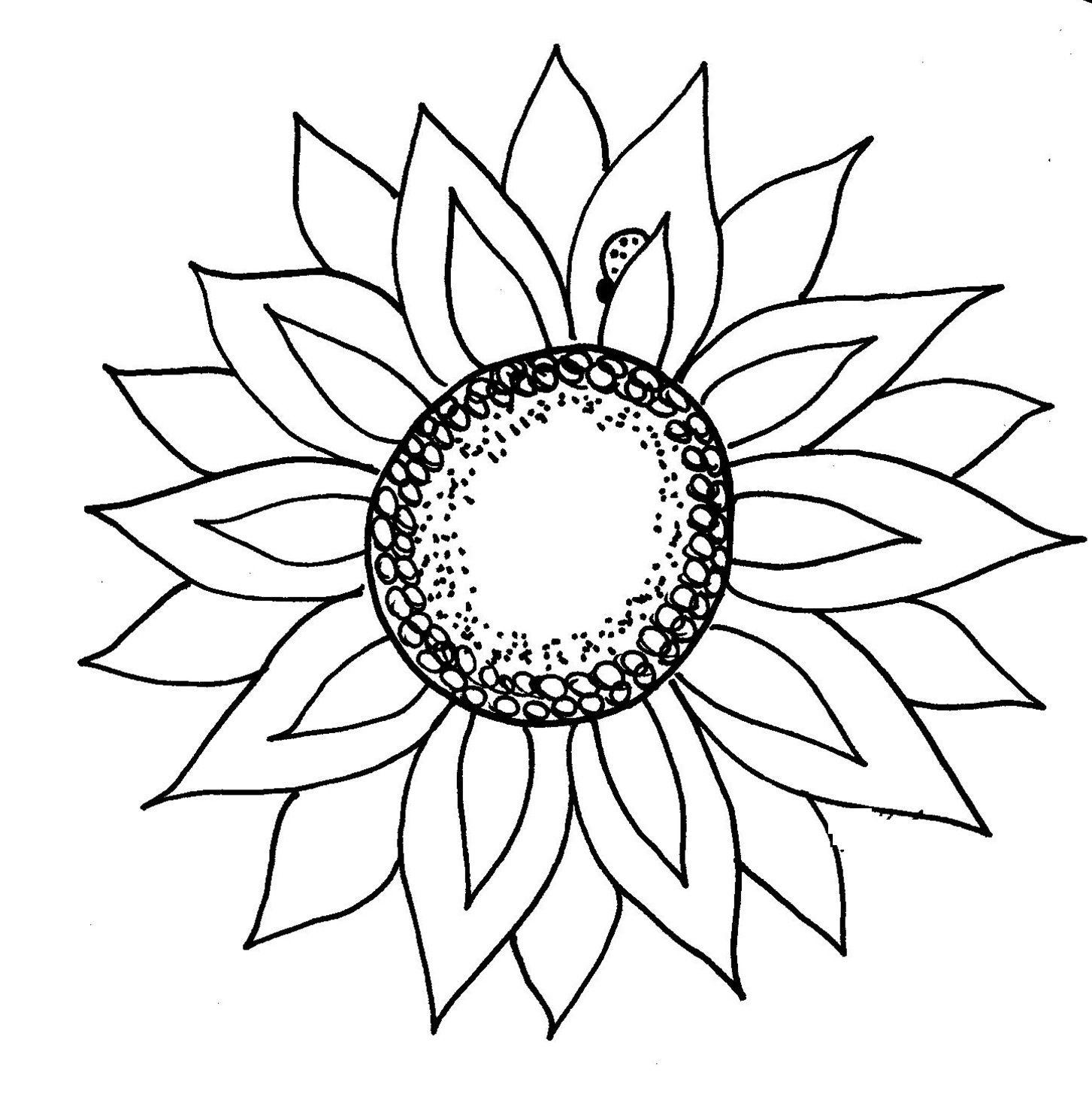 Flower Clipart Black and White Free Download