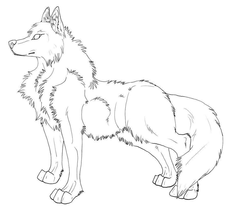 Wolf Drawing Outline images & pictures - NearPics