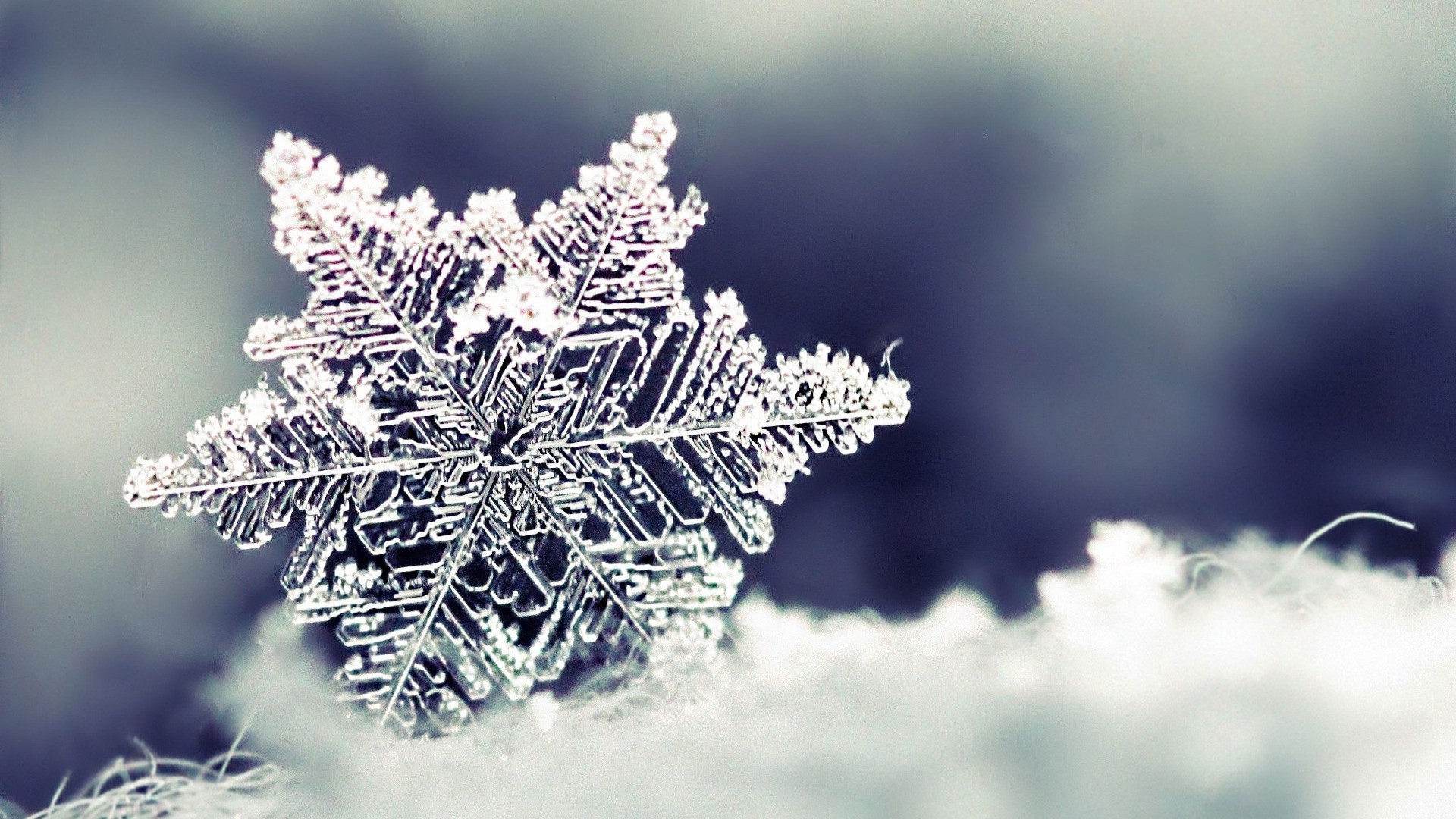 Snowflake Wallpapers - HD wallpapers n