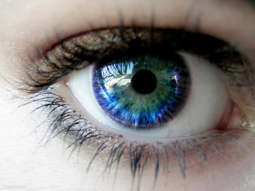 Eye Health Vision Center - Lake Plains Eye Center