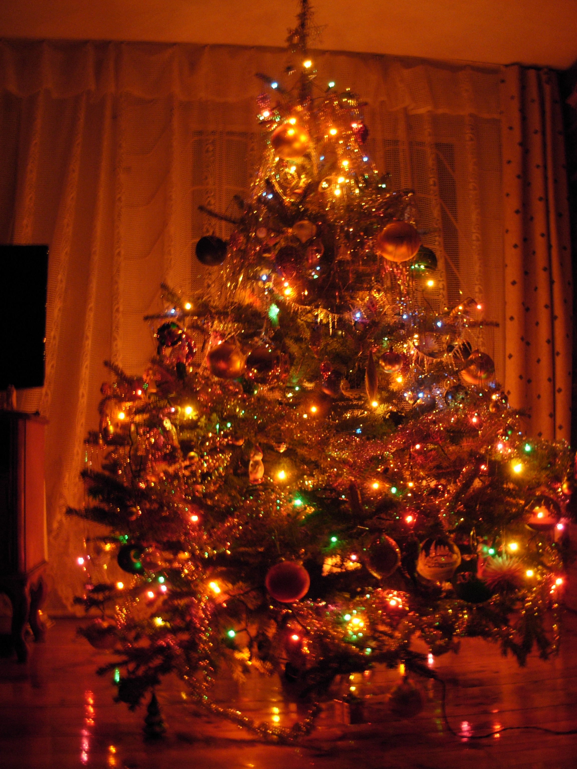 File:Piotrus XMAS Tree 2008 04.JPG - Wikimedia Commons