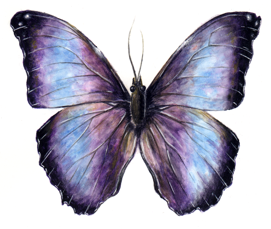 Scientific Illustration by KellyRDesign on DeviantArt