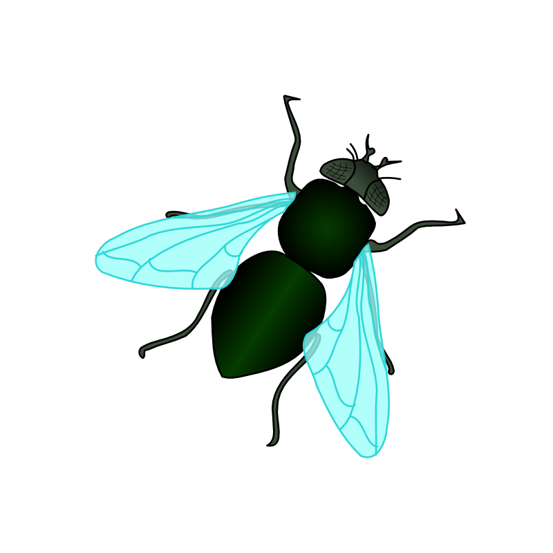 Clipart - Green House Fly