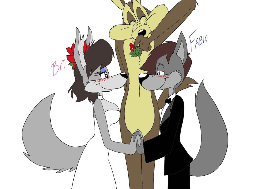 deviantART: More Like Wile E Coyote and roadrunner by Bjnix248