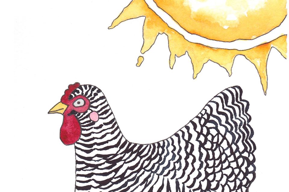 Chickens Illustrated Chicken Breeds A To Z - Cliparts.co