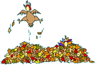 Animated Moving Turkeys Images & Pictures - Becuo