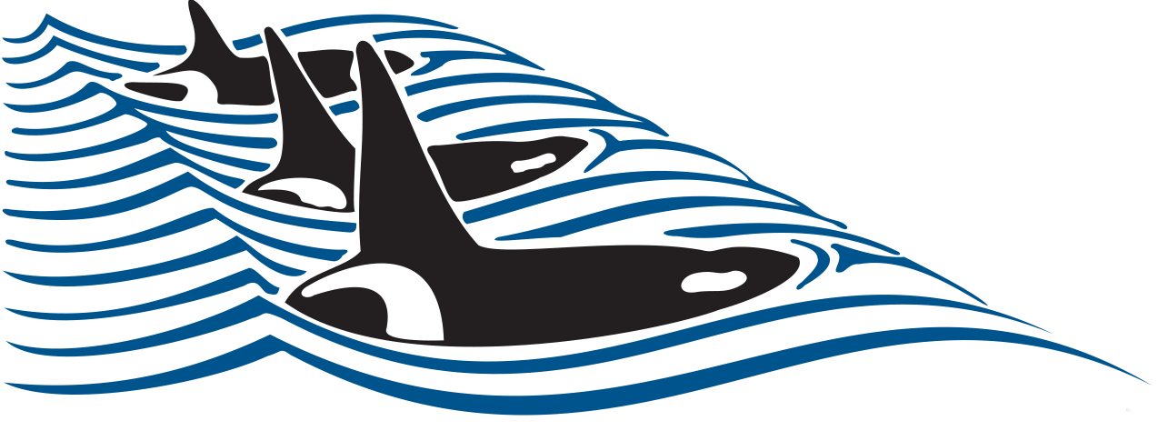 Our Boats