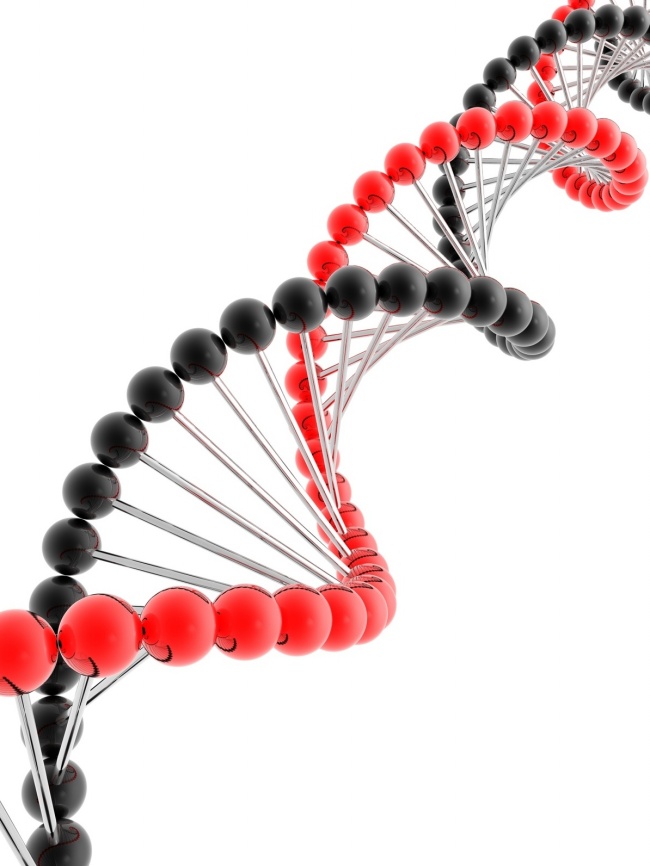 Dna double helix pictures – Over millions vectors, stock photos ...