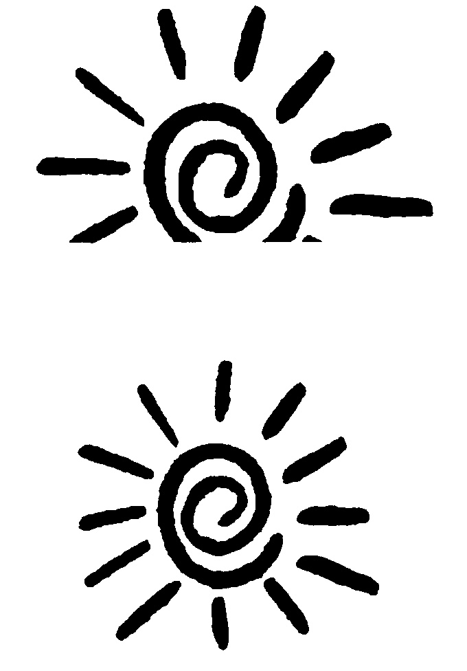 WHORL WITH OBLIQUE STRIPES OR SUN,RAYS CUT OFF AT BOTTOM WHORL ...