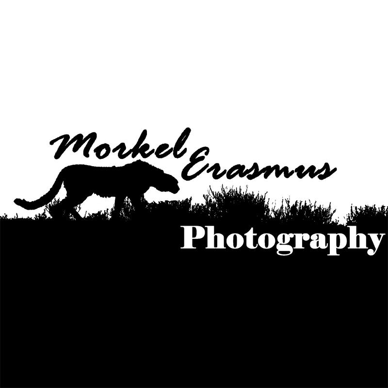 SAFFAscapes: When it all comes together