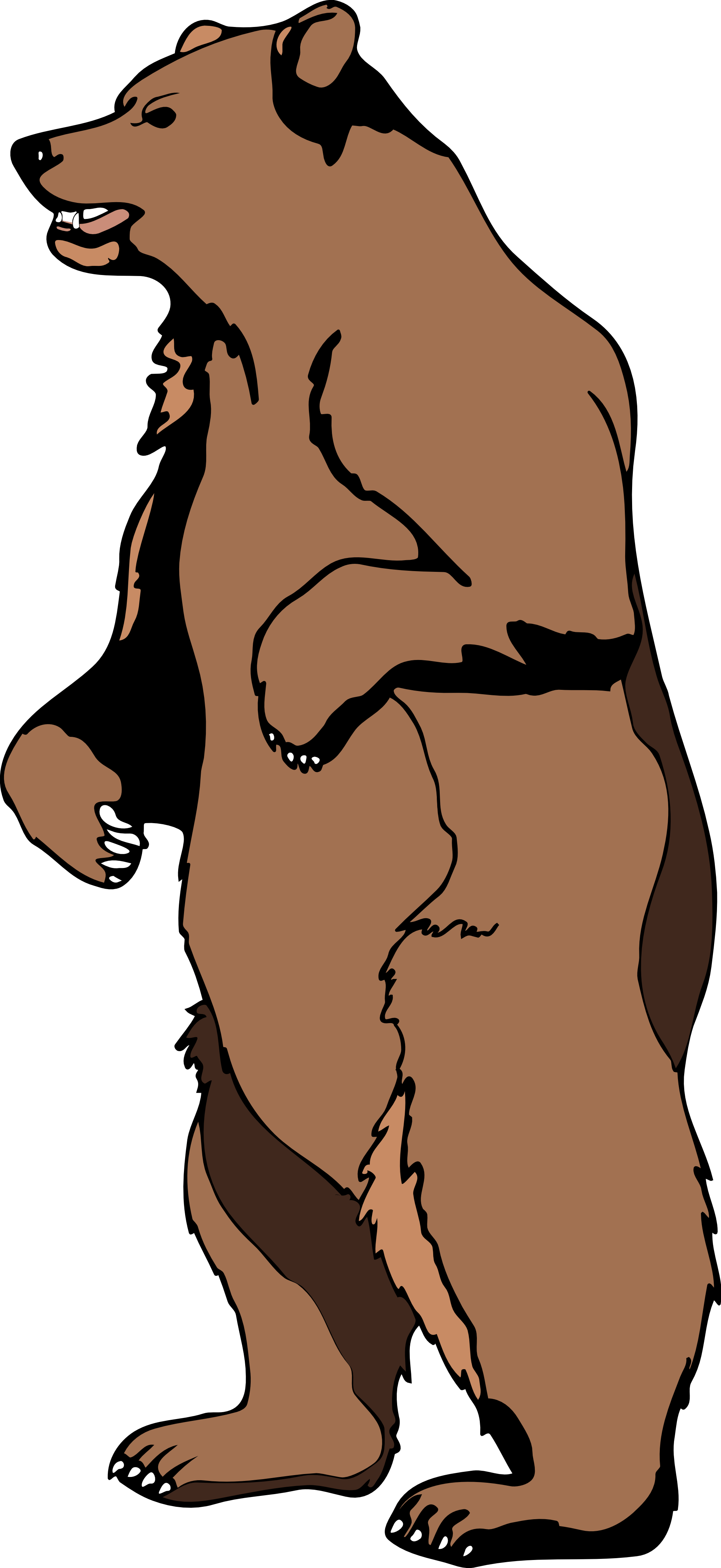 Bear Clipart - ClipArt Best