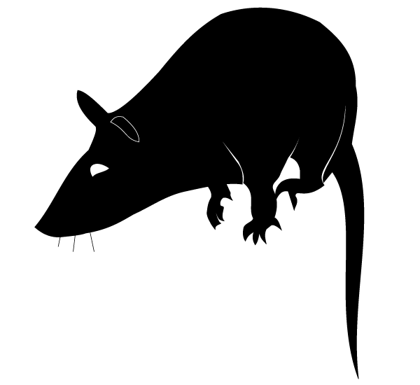 Rat Silhouette Vector Free | Download Free Animals Vector Graphics