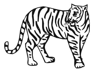 tiger drawings posted in animal drawings animal print black and ...