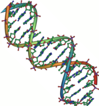 Helix Dna - ClipArt Best