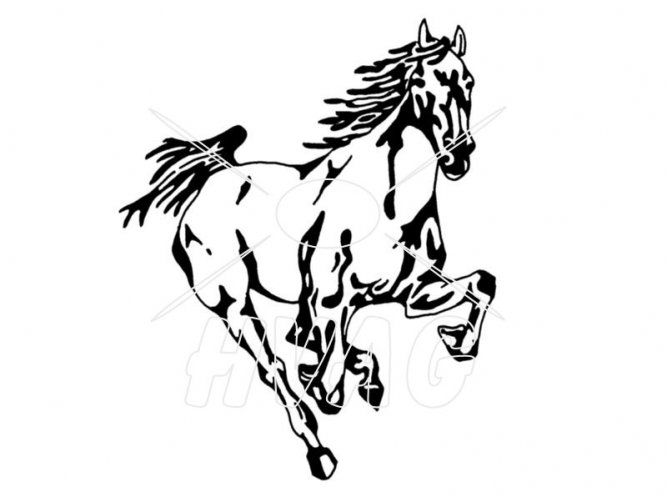 Horse Vector Art Gallery