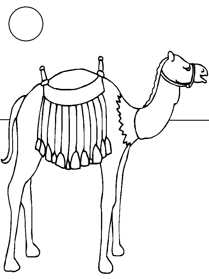 camel rider Colouring Pages