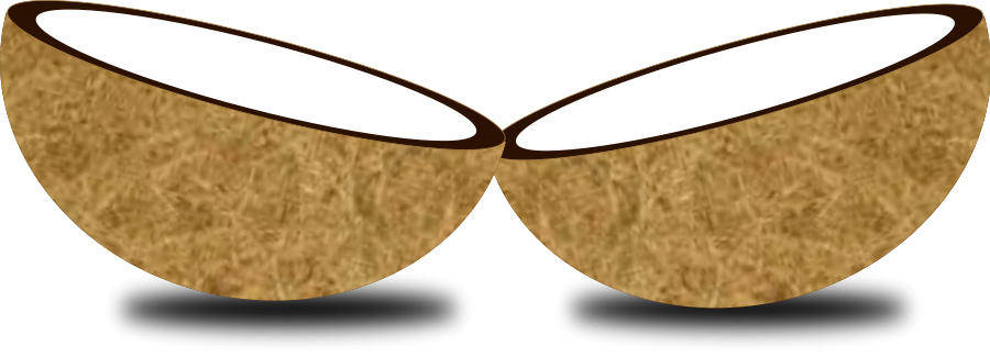 1310883528_Vector_Clipart.png