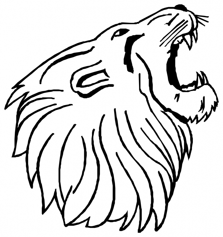 Drawings Of Lions Heads