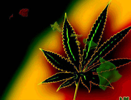Jamaican Pot Leaf - Marijuana Photo (5706963) - Fanpop - Page 10