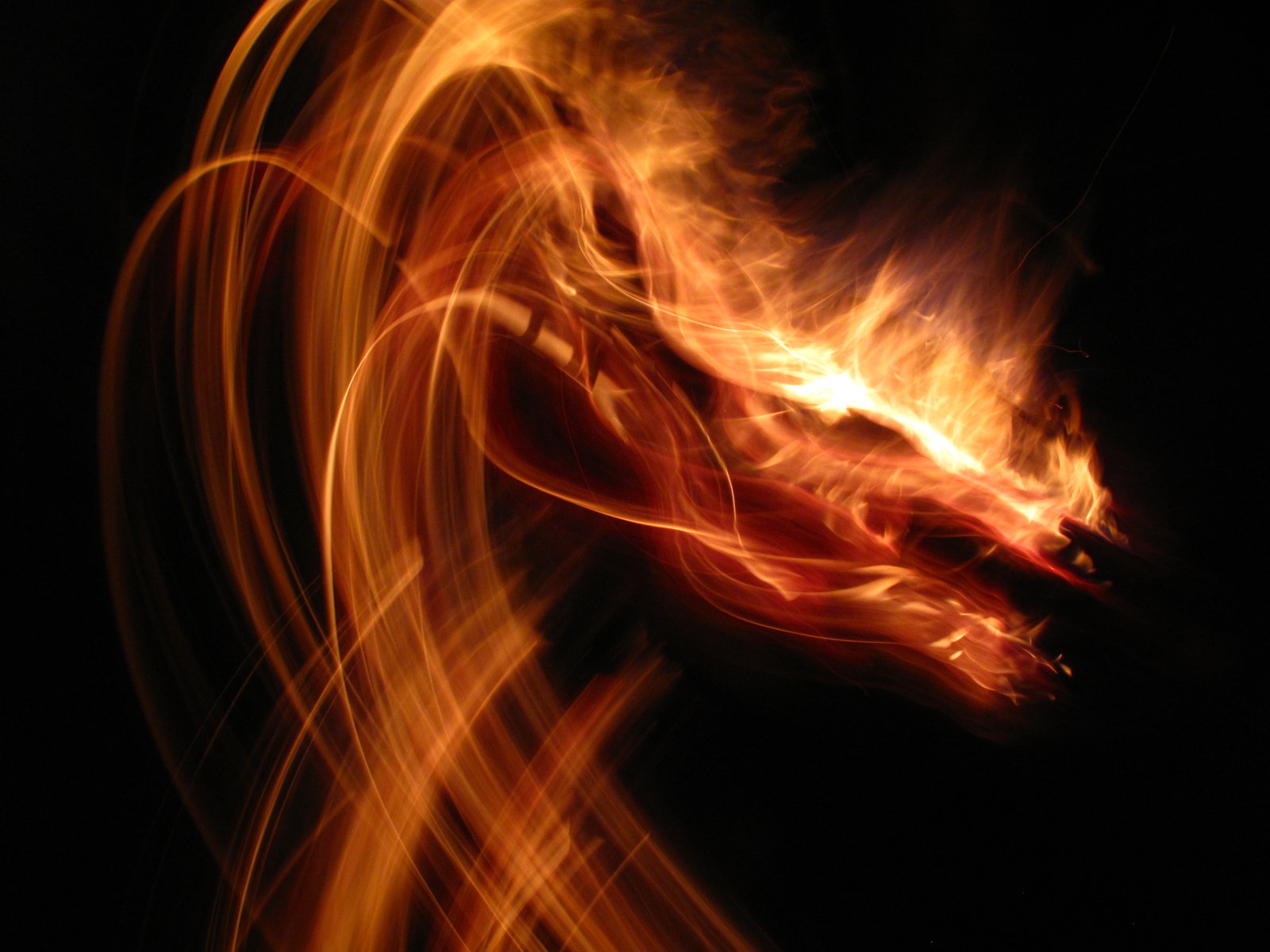 Fire Dragon by AshATurner on DeviantArt
