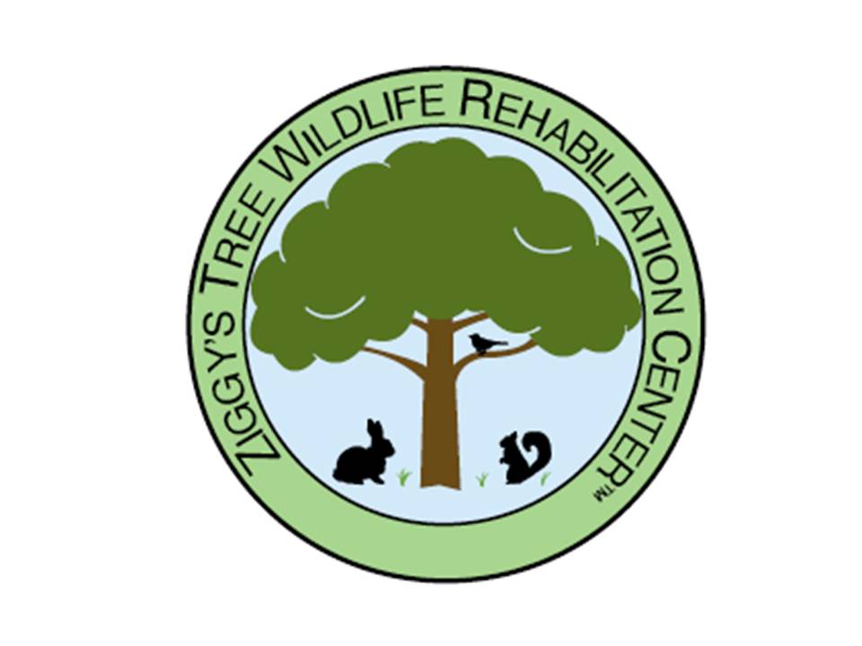 Ziggy's Tree Wildlife Rehabilitation Center | Rehabilitating ...