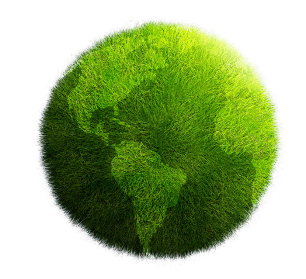 High Impact Designer » Blog Archive » 5 Ways to Go Green for Earth Day