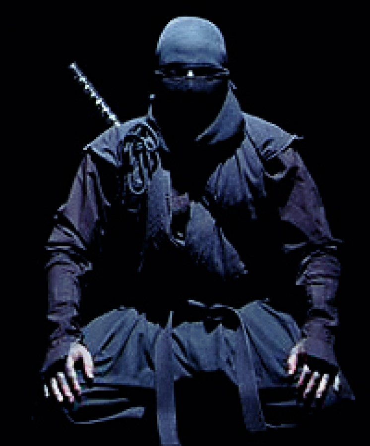 Gallery | PC-TVIIM-Product: 1357173393-Ninja+Figure.jpg-scaled ...