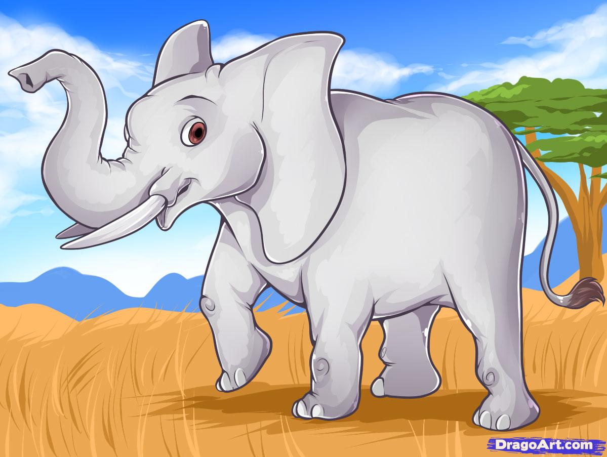 How to Draw an Easy Elephant, Step by Step, safari animals ...