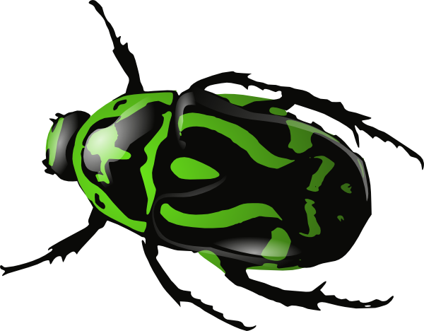 Green Beetle clip art - vector clip art online, royalty free ...