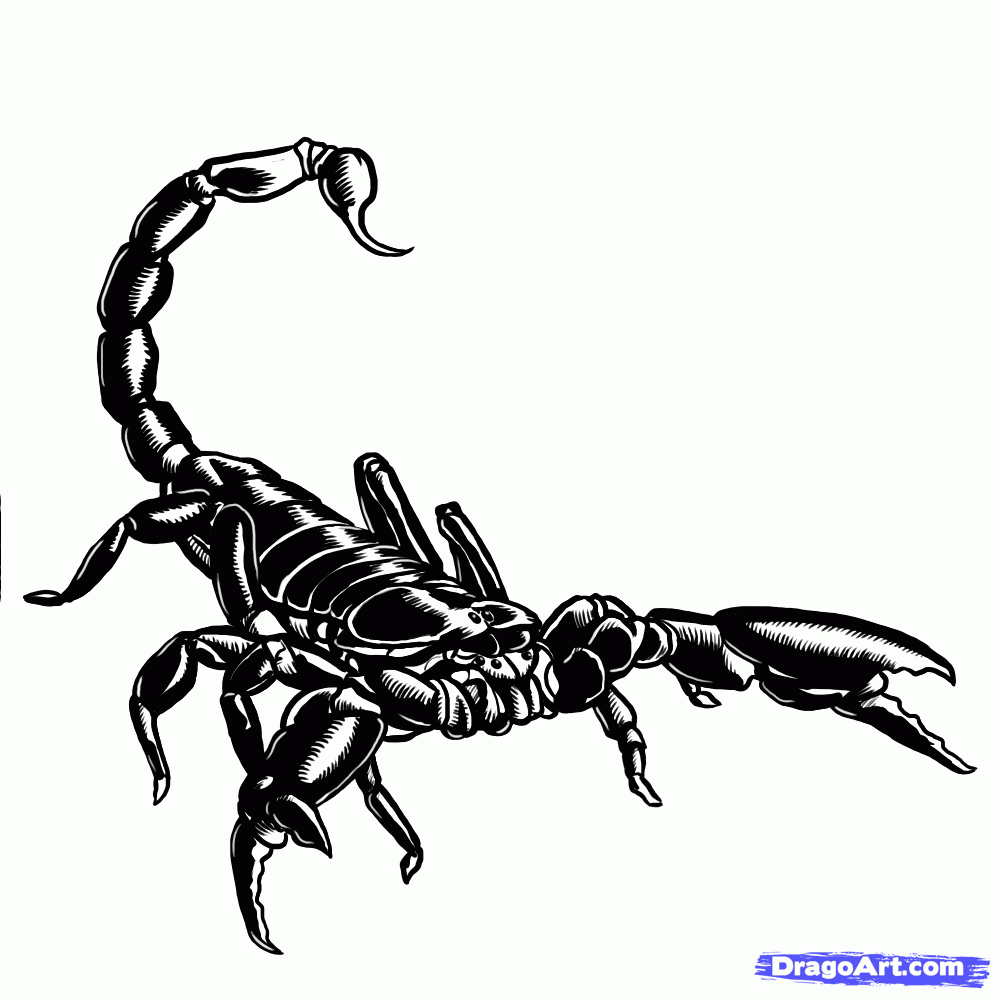 how-to-draw-scorpions-step-17_ ...