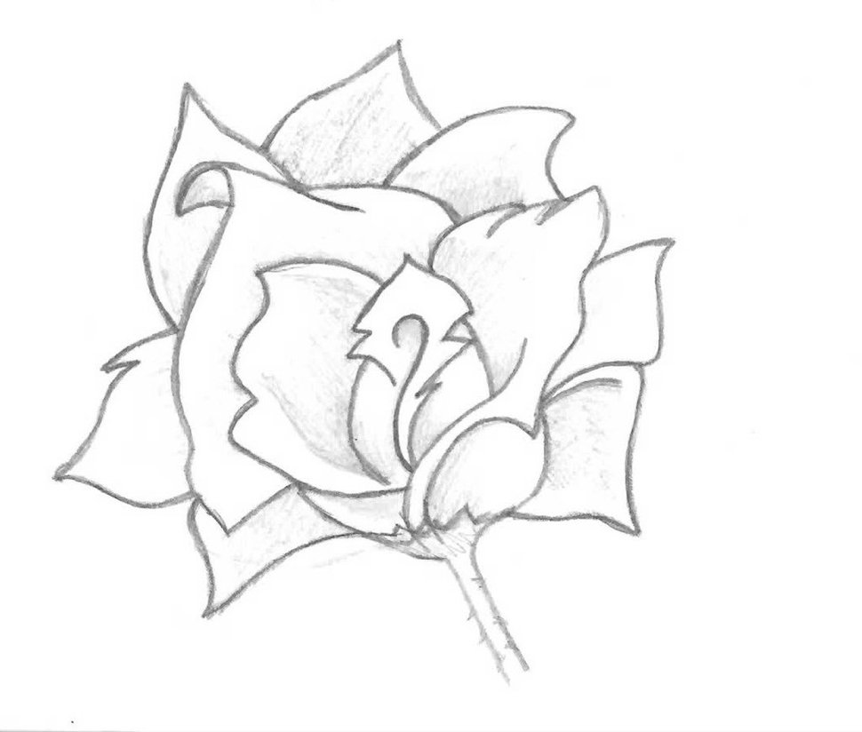 Rose Lineart by MihaelKeehl19 on DeviantArt