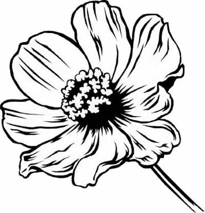 flowers coloring page | www.walzem.net