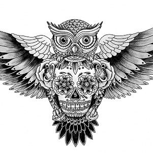 Owl + Sugar skull tattoo design---> TOTALLY GET IT IF I HAD THE ...