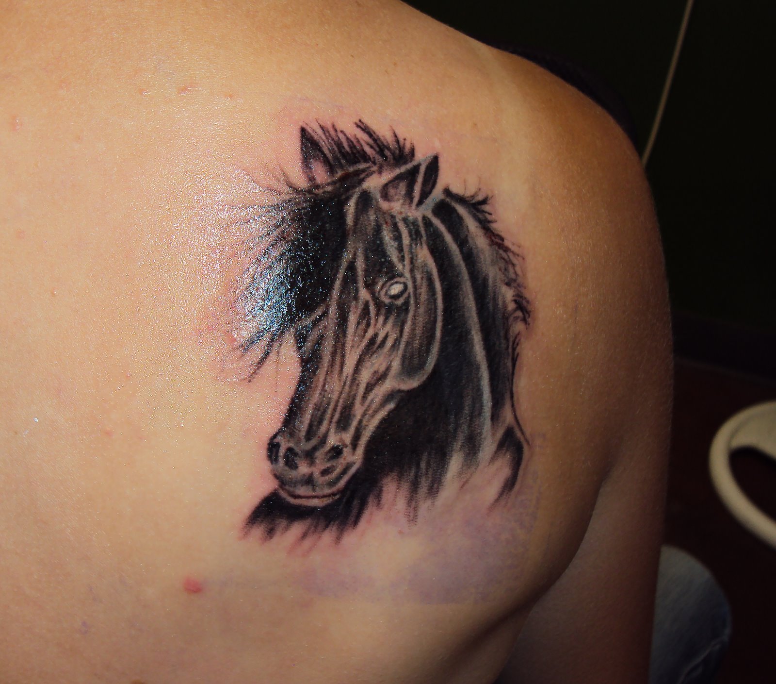 Charming Horse Head Tattoo On Back Of Shoulder | Tattoobite.com