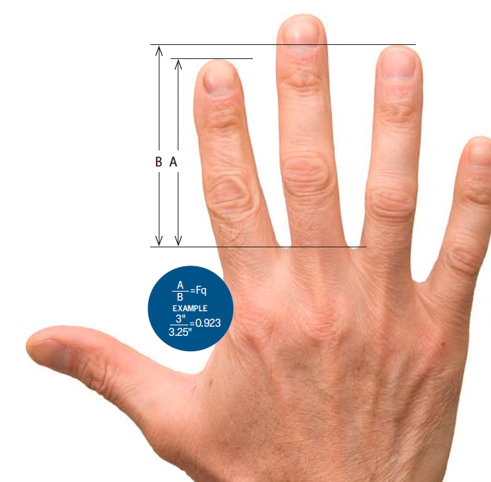 Finger Length Predicts Health and Behavior | DiscoverMagazine.com