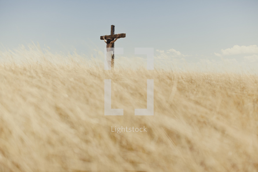 Stock Photo - Jesus hanging on a cross in a field by Pearl ...