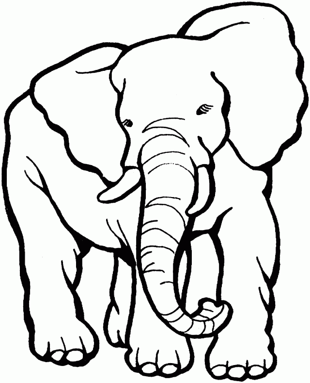 Elephant Coloring Elephant Coloring Book Kids Coloring Pages ...