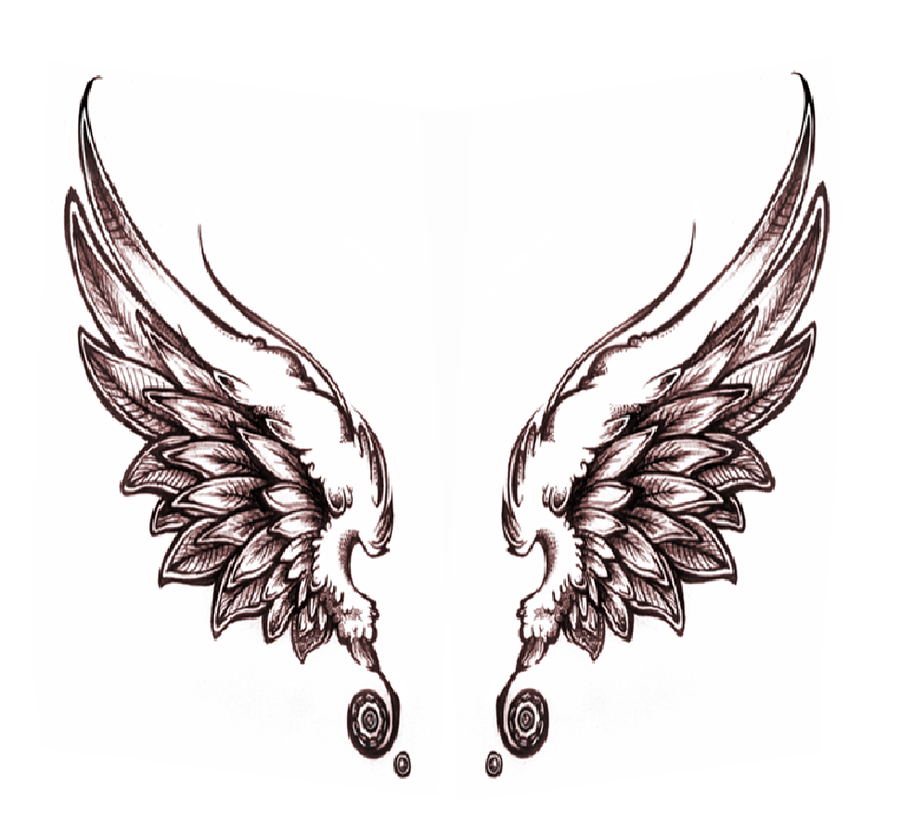 Angel Wing Sketches