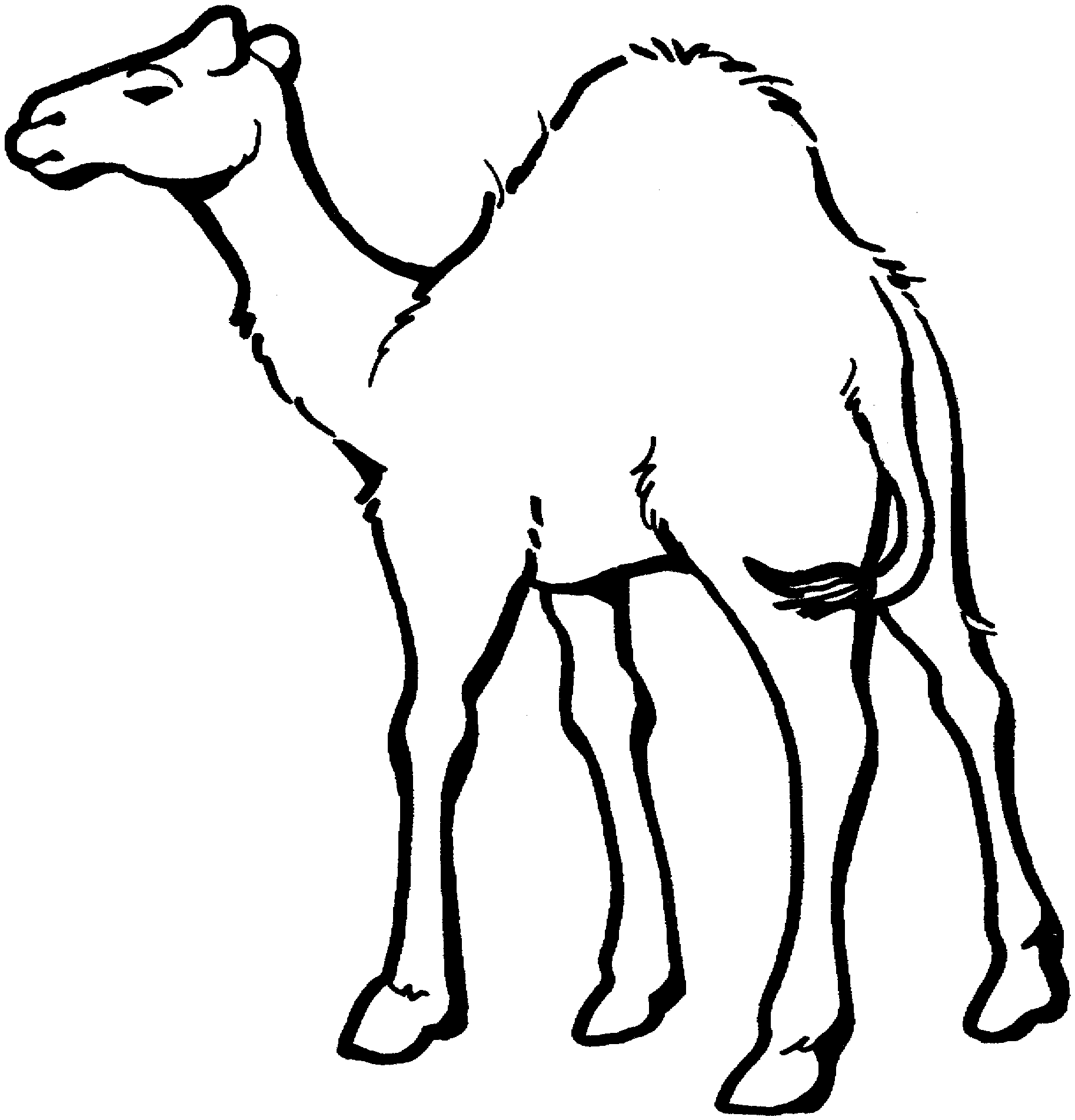 Pix For > Camels Clipart